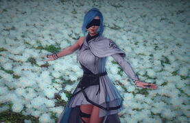Midlander Form